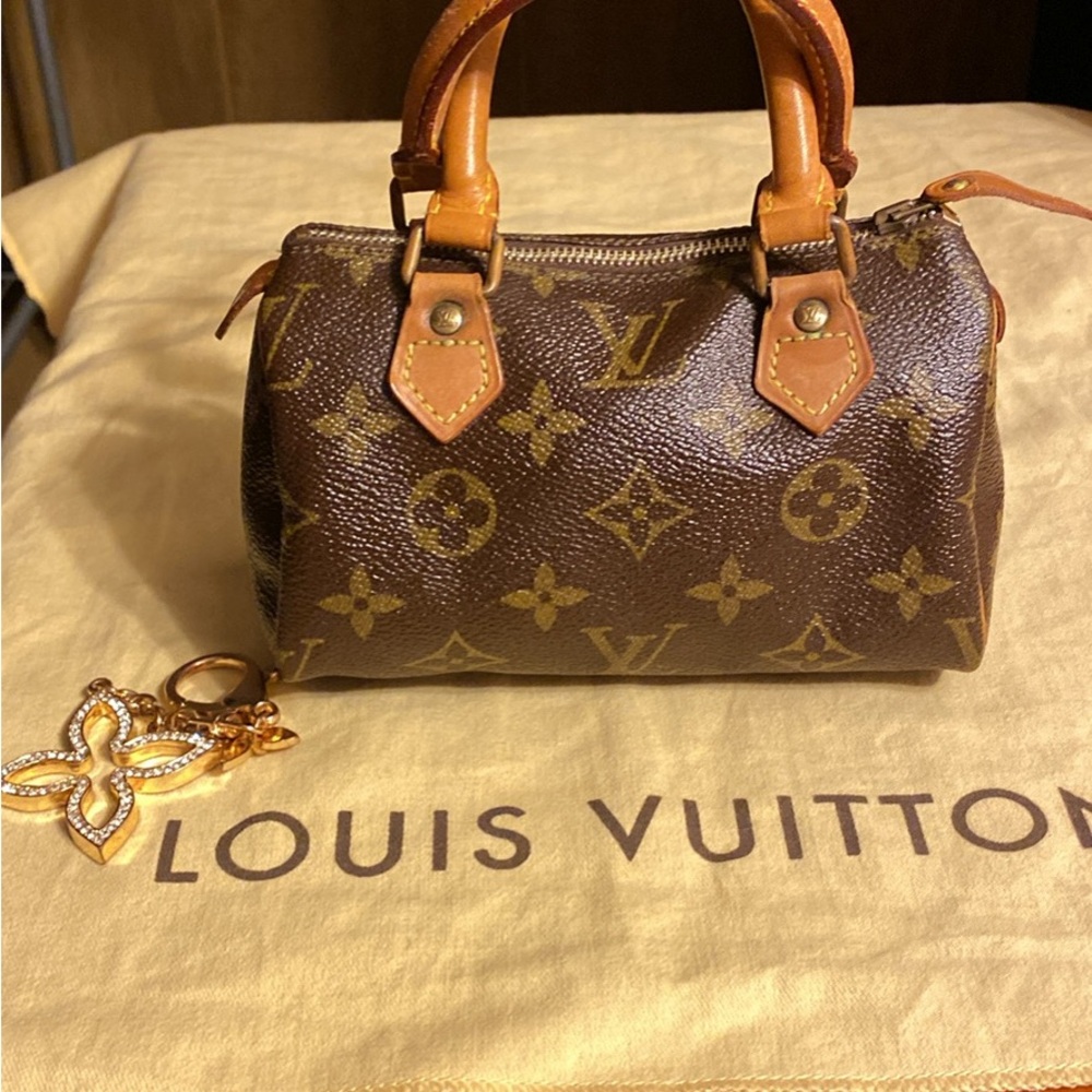 Louis Vuitton Brown Monogram Handbag